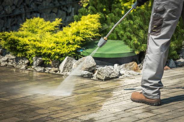 Best Sidewalk and Walkway Cleaning  in Geneva, NY